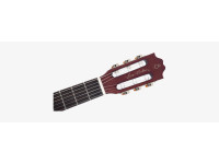 Larry Carlton G5N Natural Larry Carlton G5N Natural